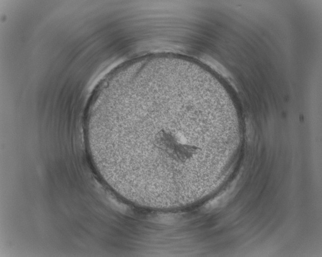 X0000076300782200610271913