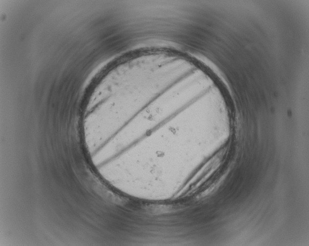 X0000076300783200610271913