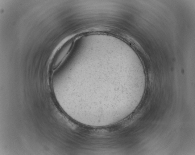 X0000076300784200610271913