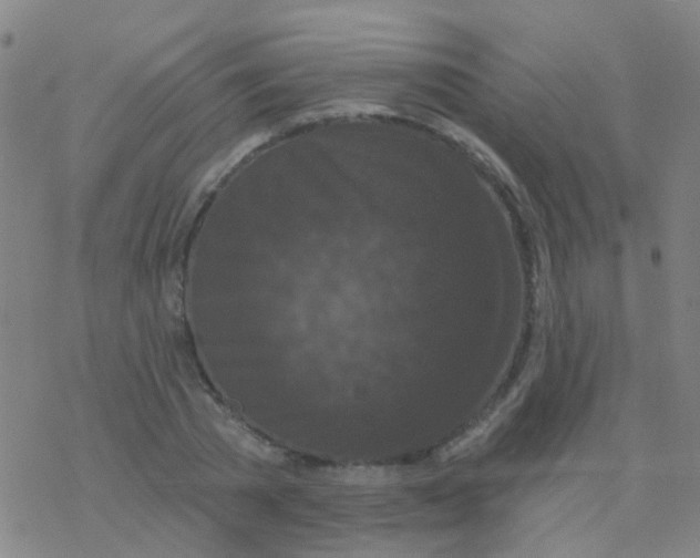 X0000076300785200610271913