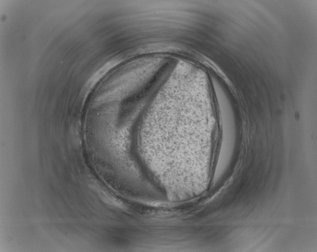 X0000076300786200610271913