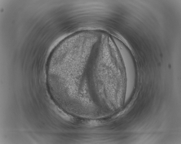 X0000076300787200610271913