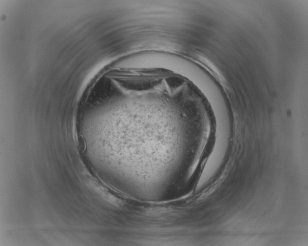 X0000076300788200610271913