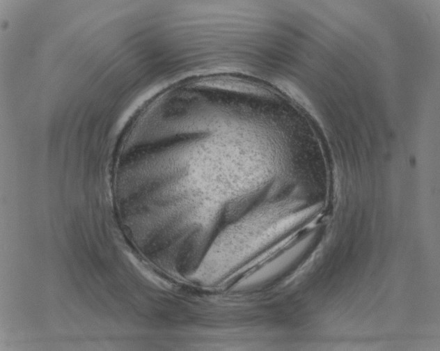 X0000076300789200610271913