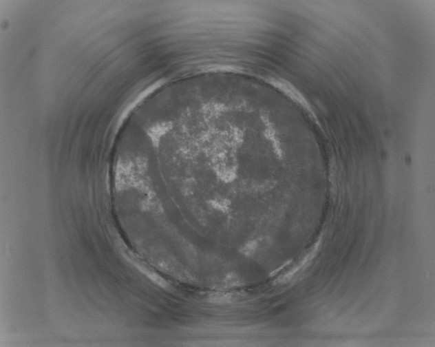 X0000076300790200610271913