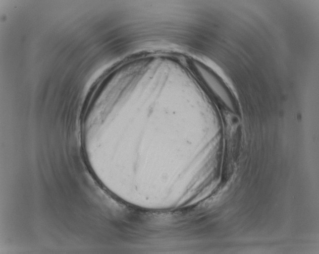 X0000076300791200610271913