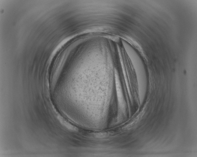 X0000076300792200610271913