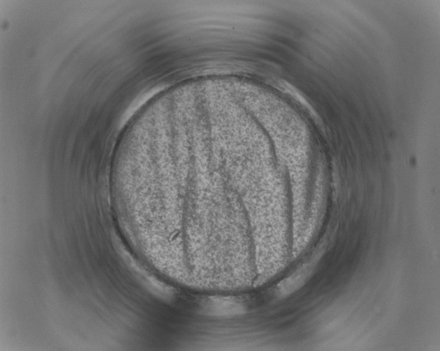 X0000076300794200610271913