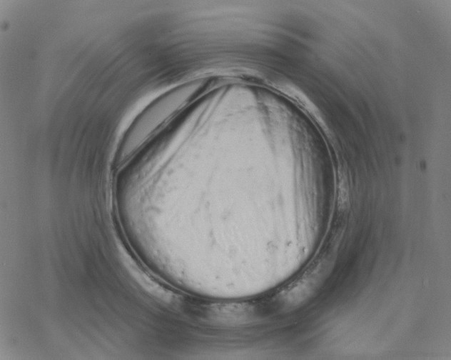 X0000076300795200610271913