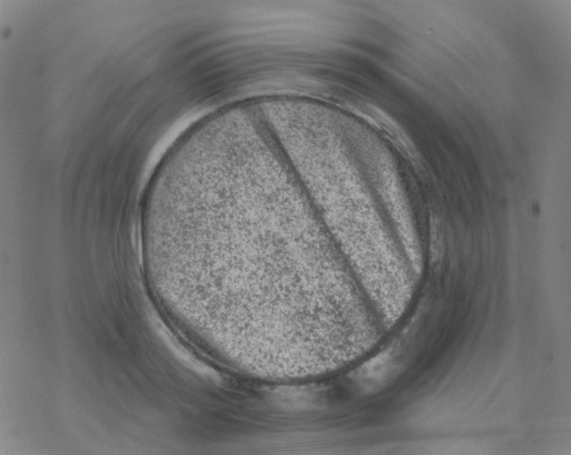 X0000076300796200610271913