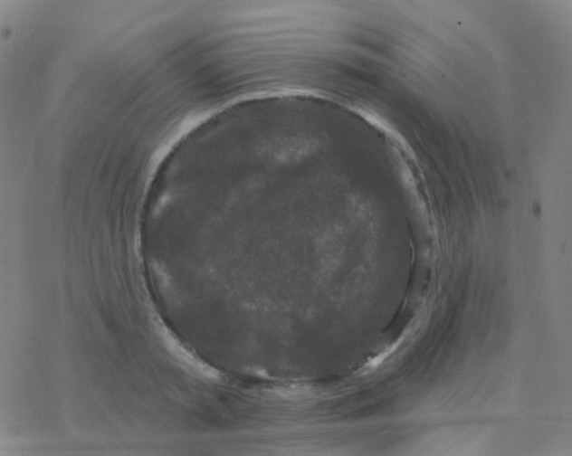 X0000076300797200610271913