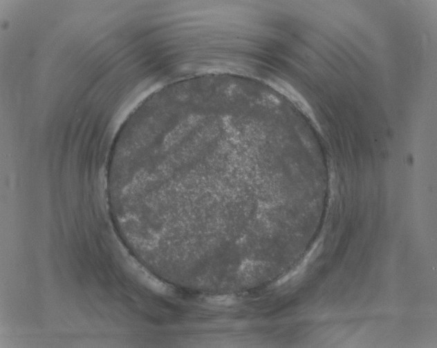 X0000076300798200610271913