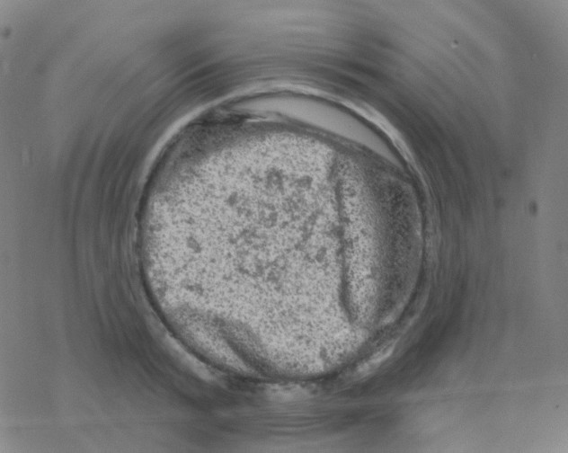 X0000076300799200610271913