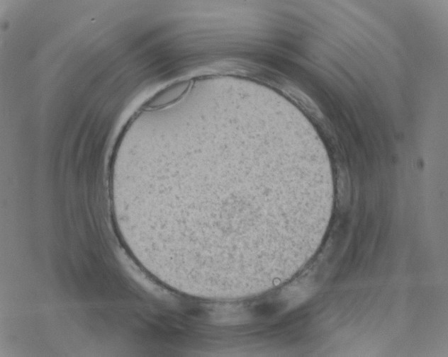 X0000076300800200610271913