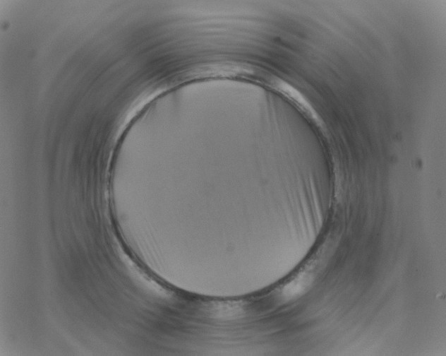 X0000076300802200610271913