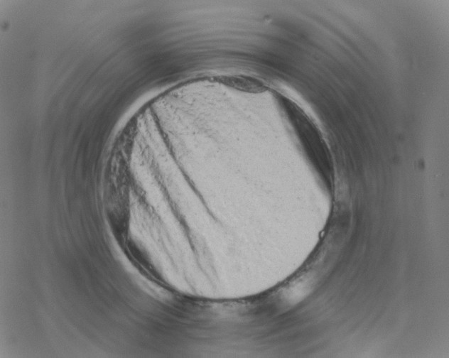 X0000076300803200610271913