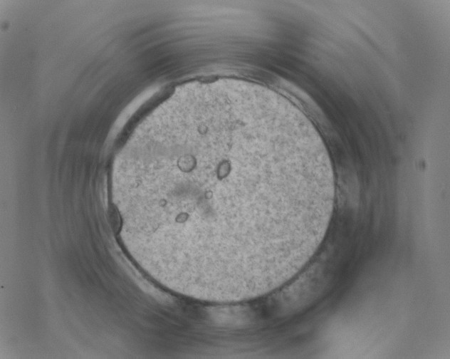 X0000076300804200610271913