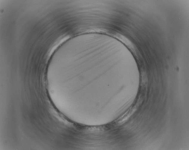 X0000076300806200610271913