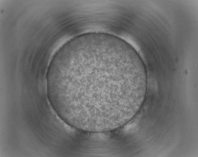 X0000076300807200610271913