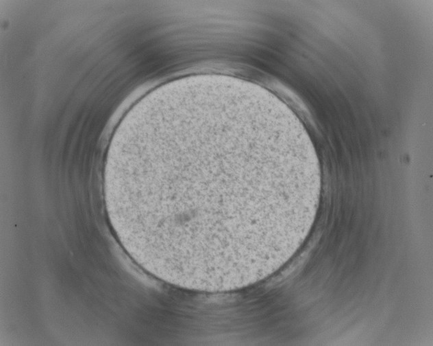 X0000076300808200610271913