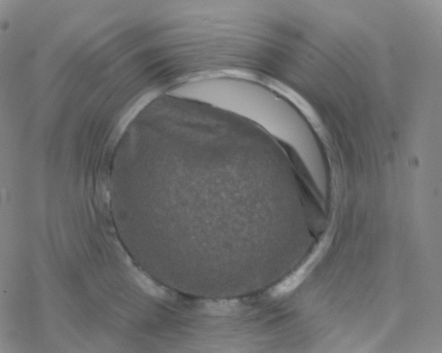 X0000076300809200610271913