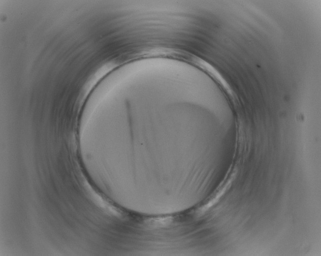 X0000076300810200610271913