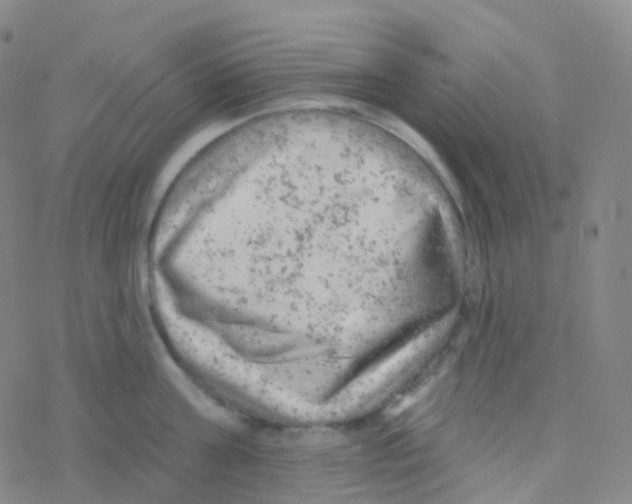 X0000076300811200610271913