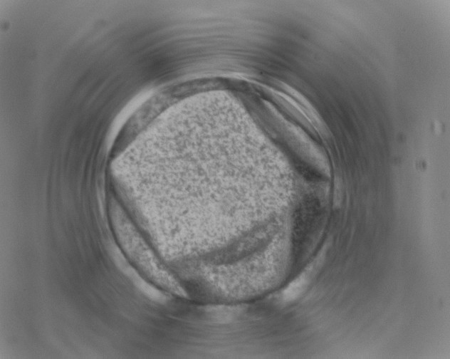 X0000076300812200610271913