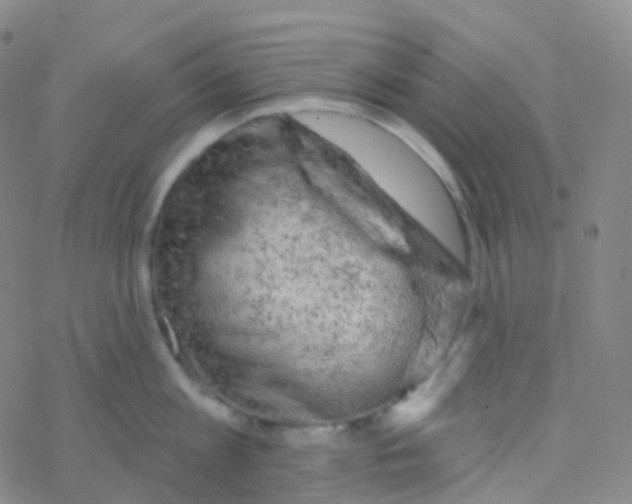 X0000076300813200610271912