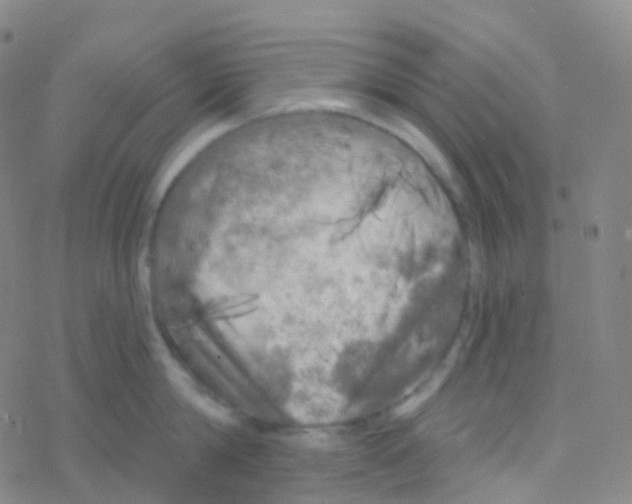 X0000076300814200610271912