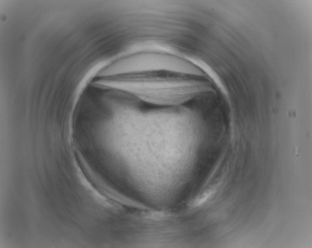 X0000076300815200610271912