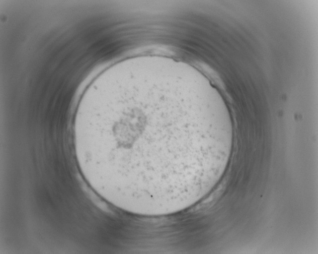 X0000076300816200610271912