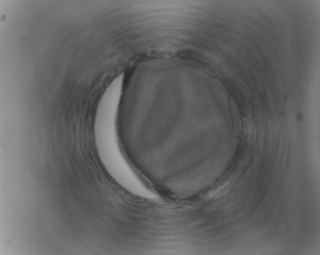 X0000076300818200610271912