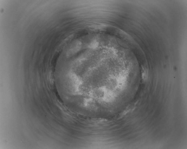 X0000076300819200610271912