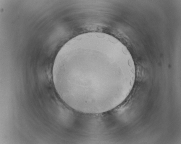 X0000076300820200610271912