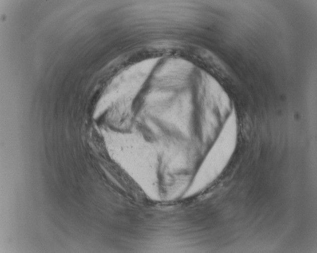 X0000076300821200610271912