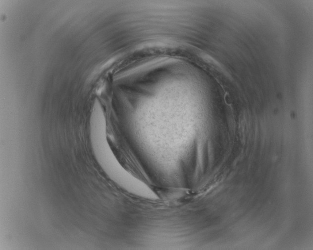 X0000076300822200610271912