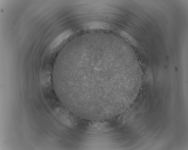 X0000076300824200610271912