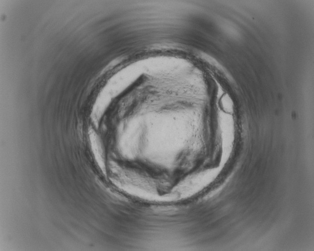 X0000076300825200610271912