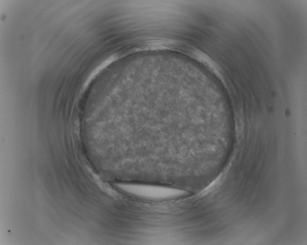 X0000076300827200610271912