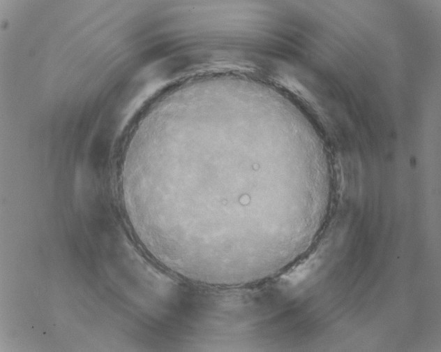 X0000076300828200610271912