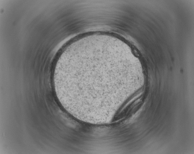 X0000076300830200610271912