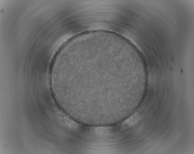 X0000076300832200610271912