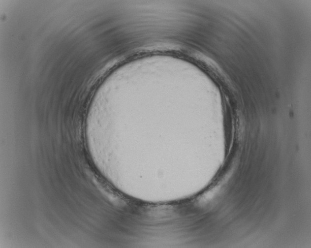 X0000076300833200610271912