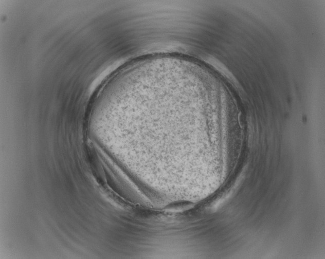 X0000076300834200610271912