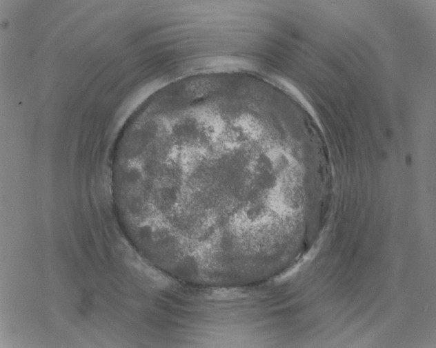 X0000076300835200610271912