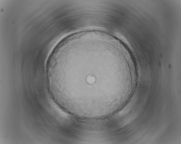 X0000076300836200610271912