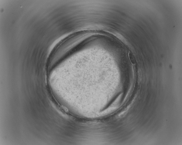 X0000076300838200610271912