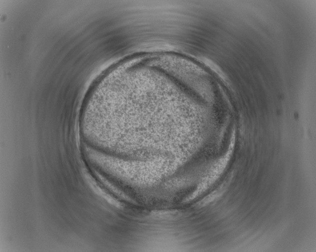 X0000076300840200610271912