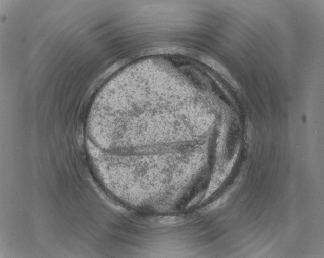 X0000076300841200610271912